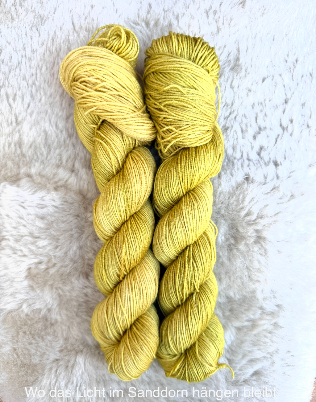 "Wo das Licht im Sanddorn hängen bleibt" MeerMerino  100% Merino 400m/100g